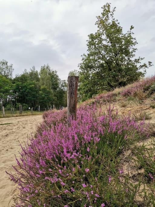 Fewo "Am Bienenstock" In Dallgow-Doeberitz Exterior foto